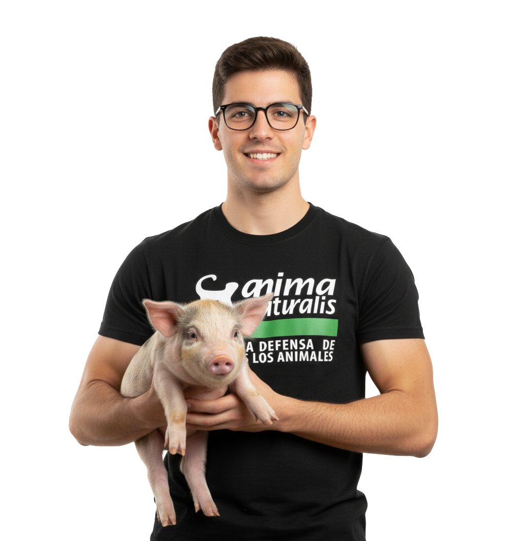 Write us whatever you like